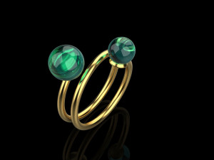 Ring 4232 3D Druckmodell