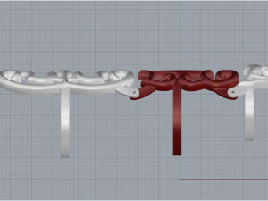 Ring 4597 3D Print Model
