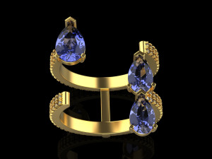 Ring 4521 Modèles 3D en vedette