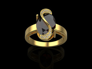 Ring 4513 3Dプリントモデル