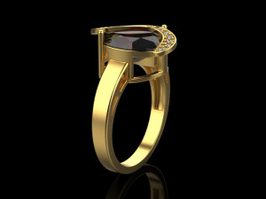 Ring 4513 3D-printmodel