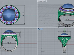 Ring 4399 3D Print Model
