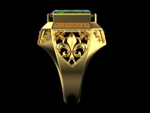 Ring 957 3D Принт Модель