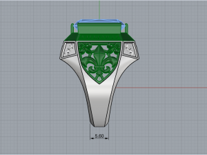 Ring 957 3D Принт Модель