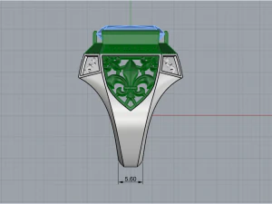 Ring 957 3D Print Model