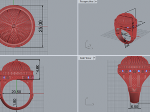 Ring 1841 3D Print Model