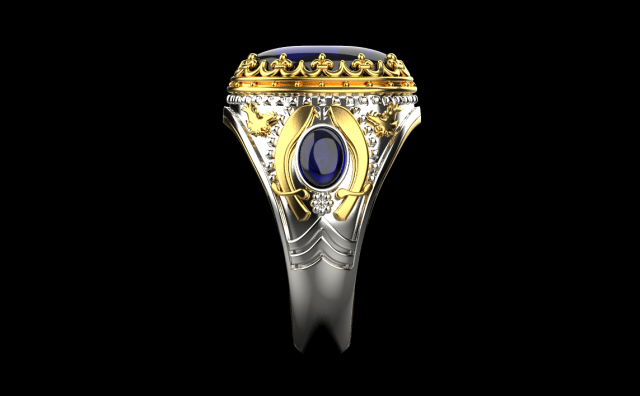 Ring 3031 3D 打印模型 .c4d .max .obj .3ds .fbx .stl .blend 