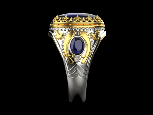 Ring 3031 3Dプリントモデル