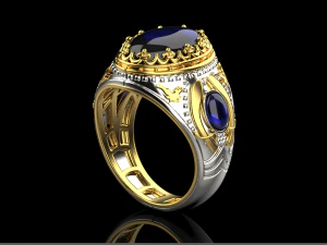 Ring 3031 3D Print Model