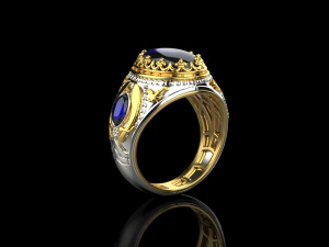 Ring 3031 3D Print Model
