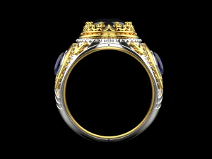 Ring 3031 3D Print Model