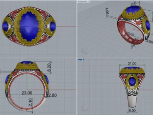 Ring 3031 3D Print Model