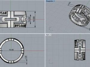 Ring 103 3D Print Model
