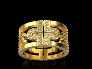 Ring 4269 3D Print Model