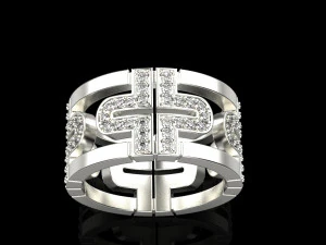 Ring 4269 3D Print Model