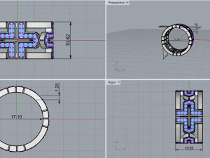Ring 4269 3D Print Model