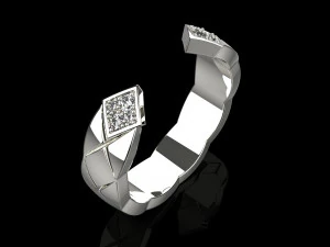 Ring 2185 3D Print Model