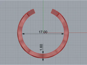 Ring 2185 3D Print Model