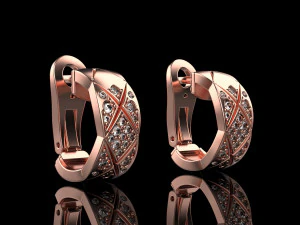 Earrings 2264 3D Print Model