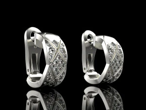 Earrings 2264 3D Print Model