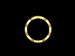 Ring 2264 3D 打印模型