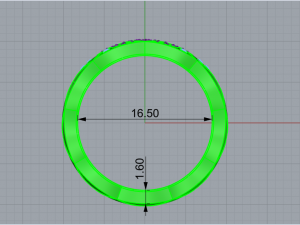 Ring 2264 3D 打印模型