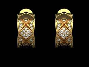 Earrings 2821 Modello di stampa 3D