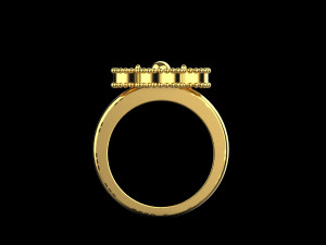 Ring 2941 3D 打印模型
