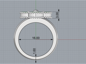 Ring 2941 3D 打印模型