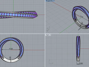 Ring 3 3D Print Model