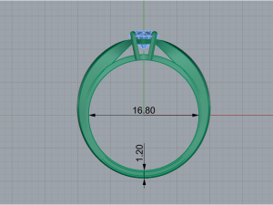 Engagement Ring 1769 3D 打印模型