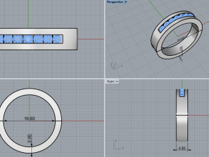 Ring 1772 3D Print Model