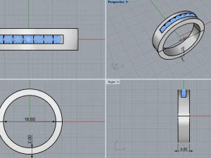 戒指1772 3D 打印模型
