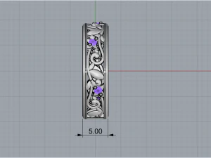 Ring 1775 3D Print Model