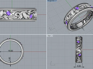 Ring 1775 3D Print Model