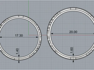Wedding Rings 1777 3D Print Model
