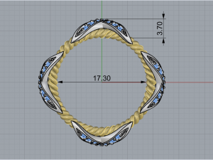 Ring 1778 3Dプリントモデル