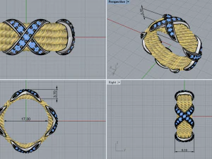 Ring 1778 3D Print Model