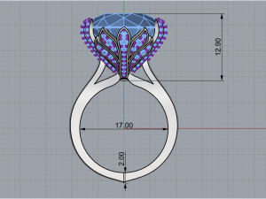 Ring 1814 3D Print Model