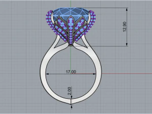 Ring 1814 3D Print Model