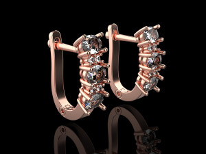 Earrings 1834 3D Print Model