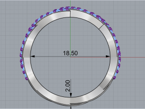 Ring 1857 Model do druku 3D