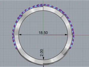 Ring 1857 3D Print Model