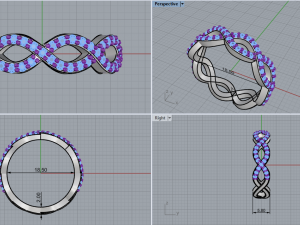 Ring 1857 Model do druku 3D
