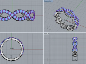 Ring 1857 3D Print Model