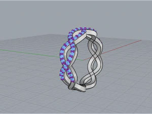 Ring 1857 3D Print Model