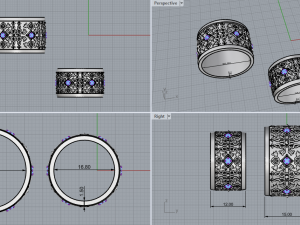 Ring 1861 3D Print Model