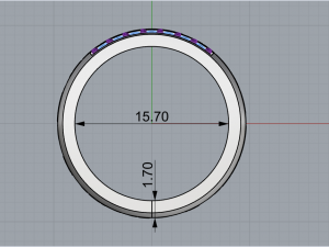 Ring 1865 3D Baskı Modeli