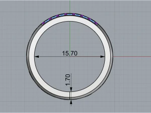 Ring 1865 3D Print Model