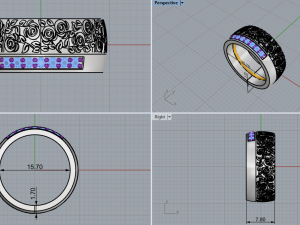 Ring 1865 3D Baskı Modeli